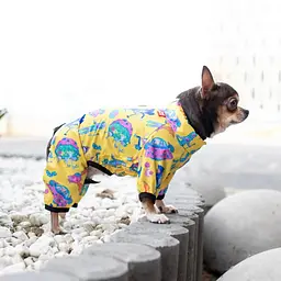 Вітровка для собак Waudog Clothes, Рік та Морті 3, XS30 - мініатюра 3