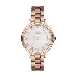 Наручний годинник Slazenger SL.09.6186.3.01