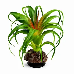 Штучна рослина Hobby Terra Succulent 3 14 см (37732) для тераріуму, акватераріуму та палюдаріуму - мініатюра 2