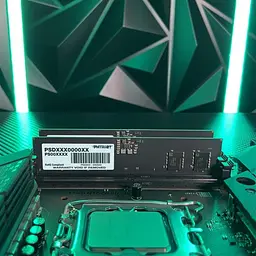 Модуль пам`яті DDR5 8GB/5200 Patriot Signature Line (PSD58G520041) - мініатюра 2