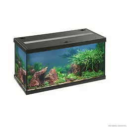 Акваріумний комплект Eheim aquastar 54 LED чорний (0340645) - мініатюра 2