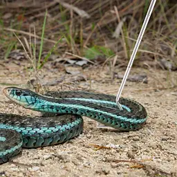 Гачок для змій телескопічний Repti-Zoo Stainless Snake Hook SNH03, 21–58 см, нержавіюча сталь, до 2 кг - мініатюра 8
