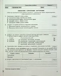 Українська мова. 5 клас. Контроль результатів навчання - мініатюра 2