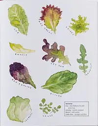The Kitchen Garden - мініатюра 5