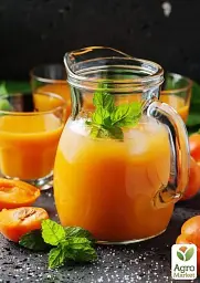 Саджанець Agro-Market Абрикос Ерлі Оранж (літній сорт, ранній термін дозрівання) 1 шт. в упаковці (21280) - мініатюра 5