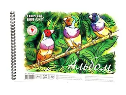 Альбом для малювання ОФОРТ 20арк. на спір. 120 г/м A4 (УФ) Тропікі в асортімнті АА4120