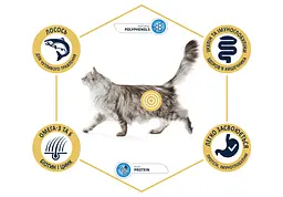 Сухий корм для котів Advance Cat Salmon Sensitive 1.5 кг. м'ясо лосося для кішок з чутливим травленням - мініатюра 2