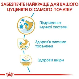 Сухий корм для цуценят породи Французький Бульдог Royal Canin French Bulldog Puppy, 10 кг (3990100) - мініатюра 5