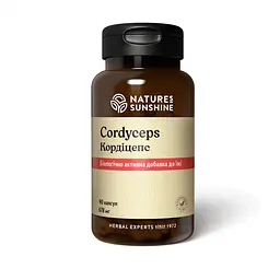 Кордіцепс НСП, 90 капсул | Cordyceps NSP