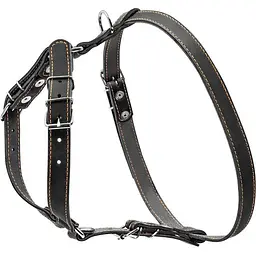 Шлея Collar одинарна для малих та середніх собак (ширина 20мм, А:40-56см, В:57-65см) чорний - мініатюра 2