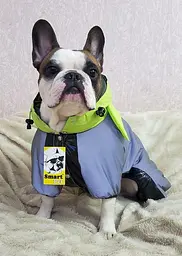 Комбінезон Smart Pet Grogu - мініатюра 2