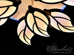 Люстра стельова LED Diasha 8028/8+4BK, 180W, 3200K-6000K, чорний метал, сучасний стиль для дому - мініатюра 4