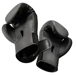 Боксерські рукавиці Hop-Sport HS-BG12 12oz чорні - мініатюра 11