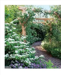 Grow Shade Garden. Essential Know-how and Expert Advice for Gardening Success