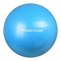 Фітбол м'яч для фітнесу Profi 65 см fit0009394