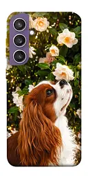 TPU чохол Demsky Flower spaniel для Samsung Galaxy S23 FE