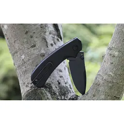 Ніж складаний кишеньковий Ruike P736-AB, (7.5 см) 14C28N / алюміній, чорний - мініатюра 10