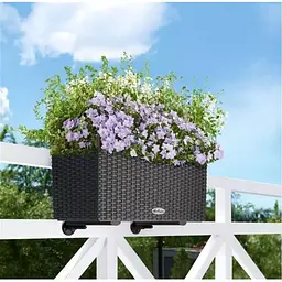 Вазон Lechuza Balconera Cottage 50 графітово-чорний (15609) - мініатюра 3