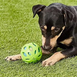 М'ячик для собак JW Pet Dog Ball - мініатюра 4