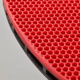 Набір для настільного тенісу Stiga Seasons Anywhere 4 Bats&8 Balls&Net (1230-0122-01) - мініатюра 6