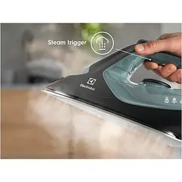 Праска з парою Electrolux E7SI2-6OG - мініатюра 2