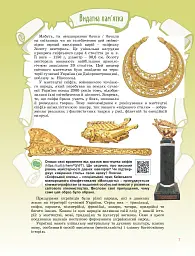 Мистецтво 8 клас. Підручник - Олена Гайдамака - мініатюра 7