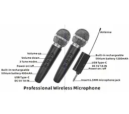 Портативная колонка BIG PREDATOR-XR12 75W, USM/MP3/FM/Bluetooth + 2 микрофона караоке - мініатюра 3