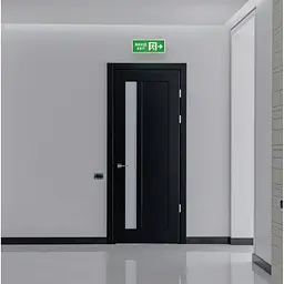 LED світильник Titanum Аварійний вихід зі стрілкою двосторонній (TL-EM101-D) - мініатюра 3