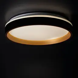 Світлодіодний світильник Smart MODERN 1-ESP-2054 72W Gold&Black IP20 ETRON - мініатюра 5