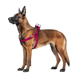 Шлея для собак WAUDOG Nylon з QR паспортом "Кавун" пластиковий фастекс XL (324-0049) - мініатюра 3