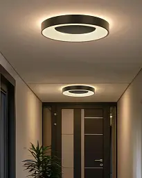 Люстра із пультом світлодіодна, стельовий світильник Goldlux 326713 Witold 40 Led 1x48W 3000K-6000K 5300Lm IP44 Bk - мініатюра 2