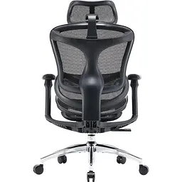 Крісло офісне Sihoo Doro C300L Mesh Black (DORO-C300L-A3-101) - мініатюра 2