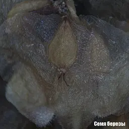 Мікроскоп National Geographic Stereo 20x (9119000) - мініатюра 8