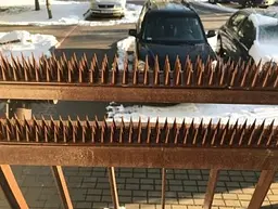 Шипи від птахів і тварин 0.5 м (висота 3 см), коричневі - мініатюра 2
