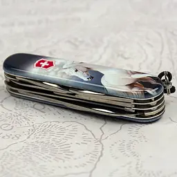 Складаний ніж Victorinox HUNTSMAN ZODIAC Магічний кінь 1.3713.3.Z5280pk - мініатюра 10