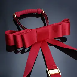 BDSM набір Upko Bowknot Hogtie Portable Bondage Gear червоний - мініатюра 3