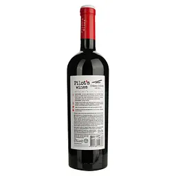 Вино Pilot’s Wines Odesa Black червоне сухе 0.75 л - мініатюра 4