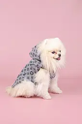 Жилетка для собак із капюшоном Louis Vuitton S сіра