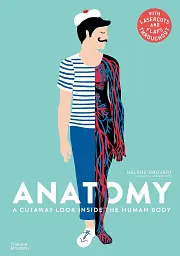 Anatomy. A Cutaway Look Inside the Human Body