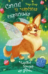 Санні й чарівна скринька