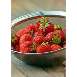 Саджанець Agro-Market Полуниця Альба (Alba) 5шт (ранній термін дозрівання, високопродуктивний сорт) (25717) - мініатюра 3