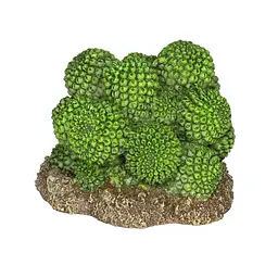 Декорація штучний кактус Hobby Cactus Atacama 7x6x5см (37018) - мініатюра 2