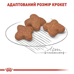 Сухий корм для собак віком від 8 до 12 років Royal Canin Mini Adult 8+, 800 г (30020089) - мініатюра 3