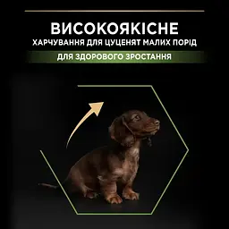 Сухий корм для щенят Purina Pro Plan Small & Mini Puppy Healthy Start з куркою 700 г 12272382 - мініатюра 4