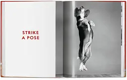Chandoha. Dogs. Photographs 1941–1991 - мініатюра 8