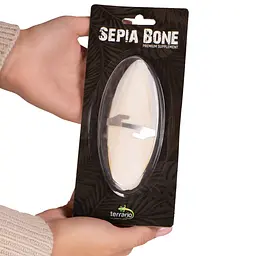 Сепія для черепах, природний вапняк для рептилій Terrario Sepia Bone 10-15см - мініатюра 2