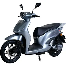 Електроскутер Tailg T-61 GR-198 Grey [172330]