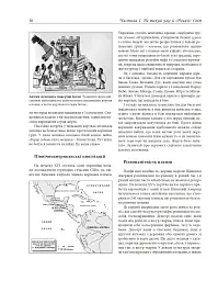 Історія Америки - мініатюра 15