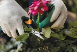Ножиці Fiskars Solid Softgrip SP15 для мікрообрізки (1051602) - мініатюра 6