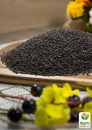 Насіння Agro-Market Базилік фіолетовий Єреванський на вагу ціна за 3 г (22108) - мініатюра 3